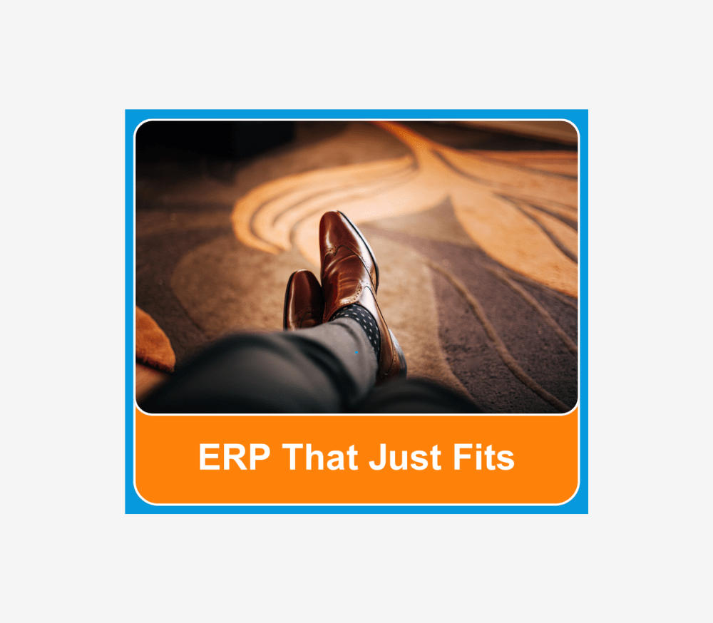 ERP That Just Fits