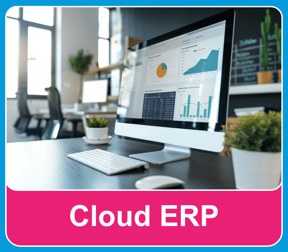Cloud ERP