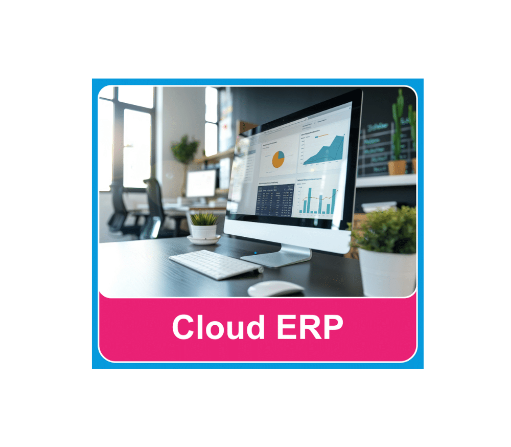 Cloud ERP